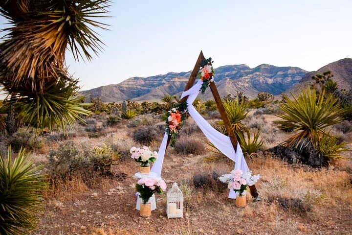 Scenic Las Vegas Wedding Ceremonies: Desert Parks, Strip Transfers & Photos