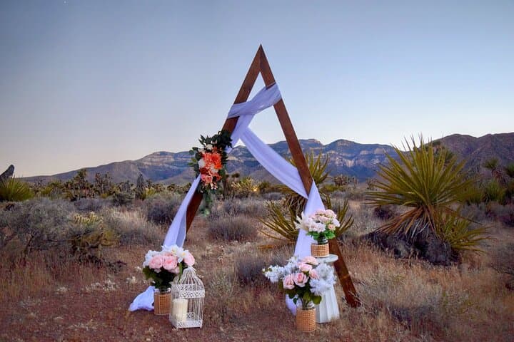 Scenic Las Vegas Wedding Ceremonies: Desert Parks, Strip Transfers & Photos photo 3