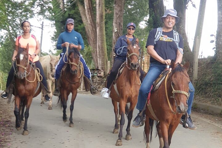 Horseback Riding in Medellín Mountains — Private Morning Ride & Scenic Trails photo 5