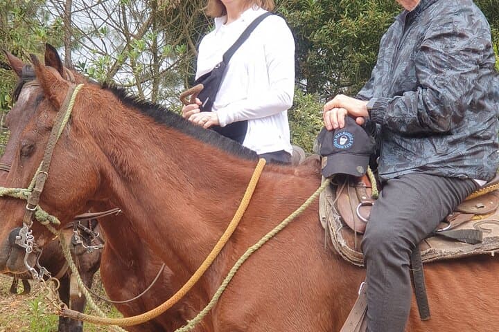 Horseback Riding in Medellín Mountains — Private Morning Ride & Scenic Trails photo 6