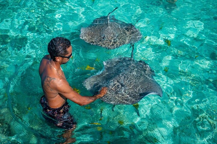 Bora Bora Half-Day Motu Fanfan Lagoon Snorkel with Mantas & Sharks photo 3