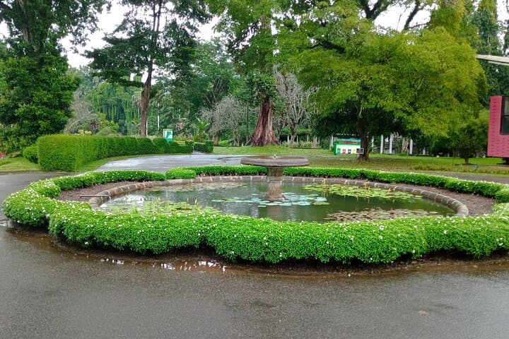 Kandy & Nuwara Eliya: 2-Day Hill Country Arrival from Katunayaka Airport photo 5