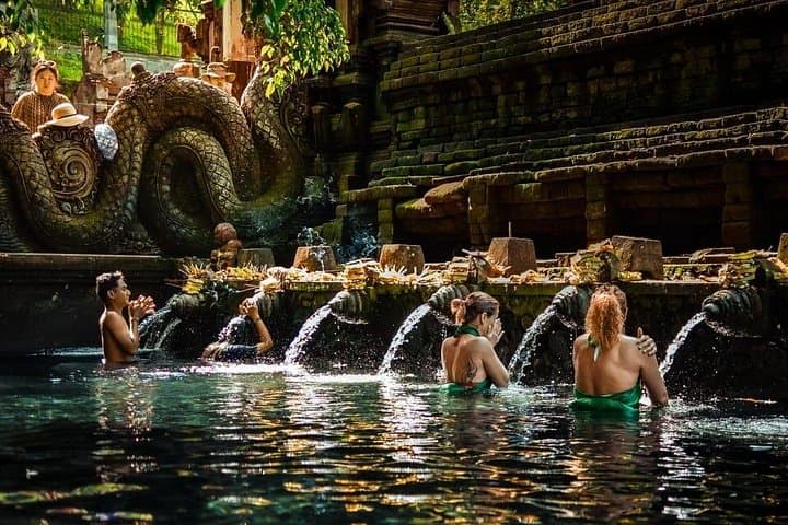 Ubud Private Day Tour: Tegalalang Rice Terrace, Monkey Forest & Tirta Empul photo 1