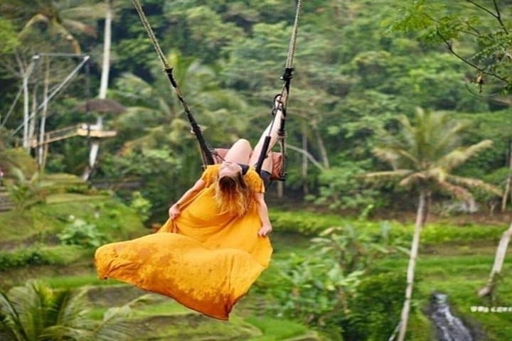 Ubud Private Day Tour: Tegalalang Rice Terrace, Monkey Forest & Tirta Empul photo 2