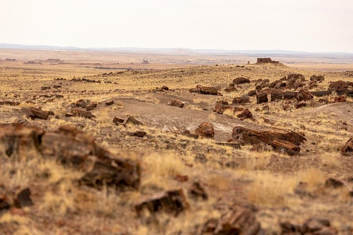 Self-Guided Audio Driving Tour of Petrified Forest National Park — Painted Desert & Crystal Forest Guide photo 3