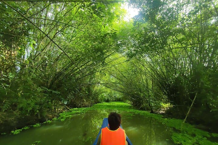 Lung Ngoc Hoang Bird Sanctuary Tour from Can Tho — Half-Day Wildlife & Boat Ride