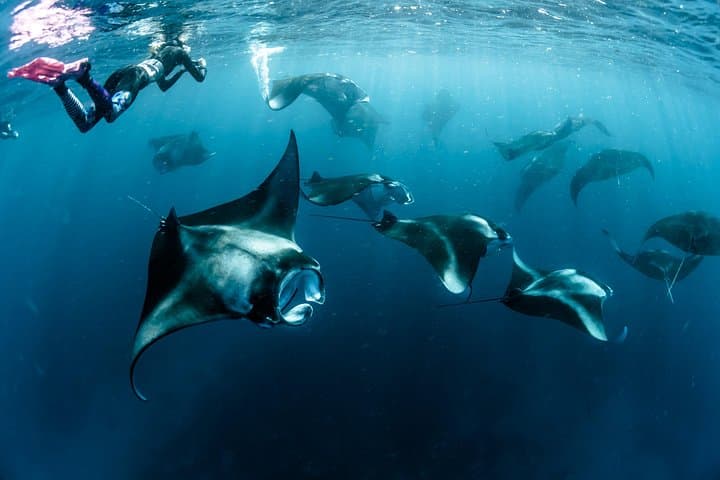 Nusa Penida Private Snorkeling Day Trip — 4 Spots plus Coastal Land Tour photo 1