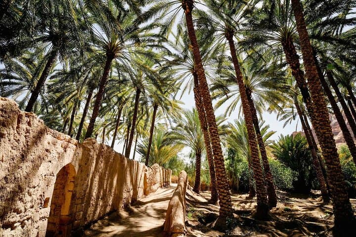 AlUla Oasis Heritage Trail: Guided 3km Walk Through Date Palms & Ancient Farmlands photo 2