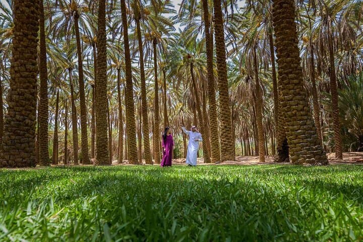 AlUla Oasis Heritage Trail: Guided 3km Walk Through Date Palms & Ancient Farmlands photo 3