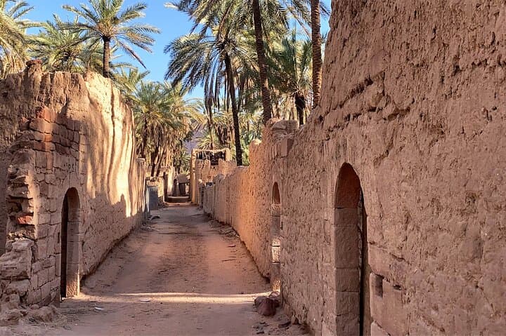 AlUla Oasis Heritage Trail: Guided 3km Walk Through Date Palms & Ancient Farmlands photo 5