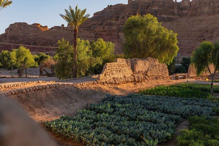 AlUla Oasis Heritage Trail: Guided 3km Walk Through Date Palms & Ancient Farmlands photo 6