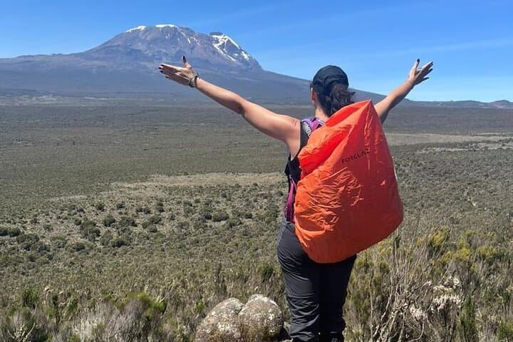 Private 7-Day Lemosho Route Kilimanjaro Climb — Summit Uhuru Peak photo 3