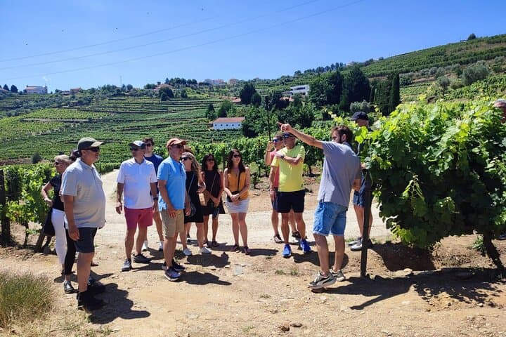 Douro Valley Day Tour: Two Vineyards, Rabelo River Cruise & Winery Lunch from Porto photo 3
