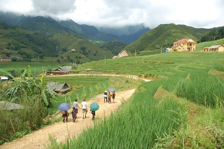 Sapa Trekking & Homestay: 2-Day Muong Hoa Valley Walk and Village Stay