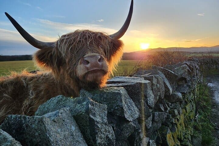 Private Western Highlands Tour from Glasgow: Glencoe, Lochs, Castles & Oban Day Trip