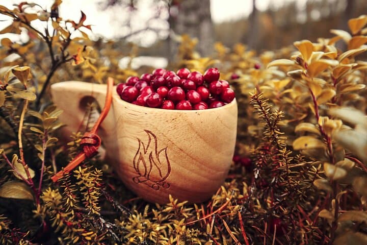 Lapland Berry Picking Adventure with BBQ: Forage Wild Berries & Sami Stories photo 2