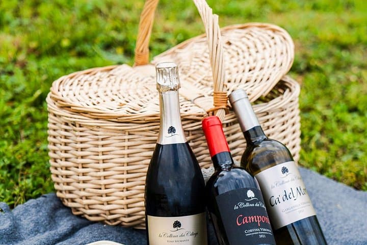 Verona E‑Bike and Valpolicella Picnic: Hillside Winery Ride