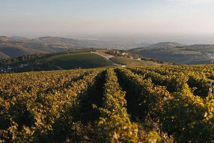 Verona E‑Bike and Valpolicella Picnic: Hillside Winery Ride photo 2