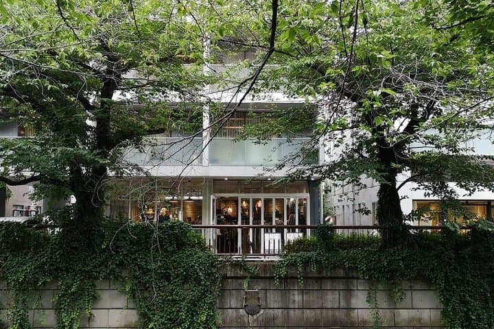 Nakameguro & Daikanyama Art Walk: Galleries, Cafés and Denenchofu Discovery