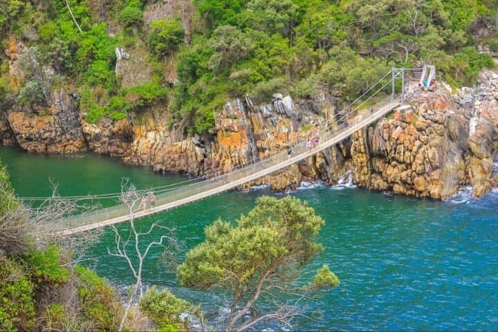 7-Day Garden Route Safari Adventure from Cape Town — Knysna, Tsitsikamma & Wildlife photo 5