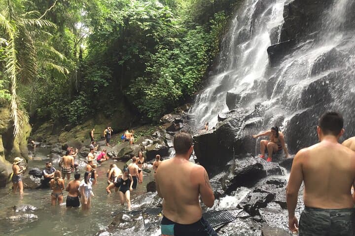 Instagram Falls Private Tour: Ubud Waterfall Photo Adventure photo 3