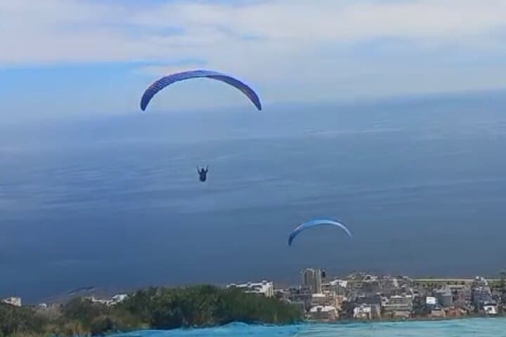 Paragliding Over Constantia: Private Cape Town Flight and Wine-Tasting Day Tour photo 3