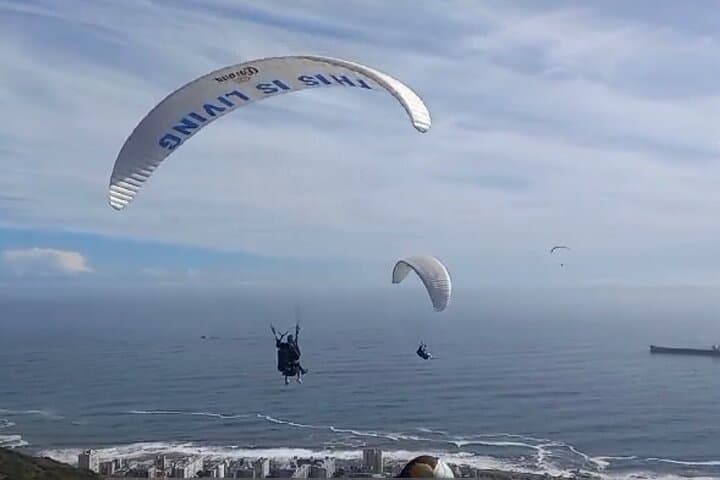 Paragliding Over Constantia: Private Cape Town Flight and Wine-Tasting Day Tour