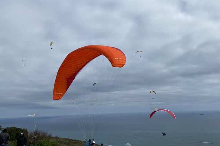 Paragliding Over Constantia: Private Cape Town Flight and Wine-Tasting Day Tour photo 2