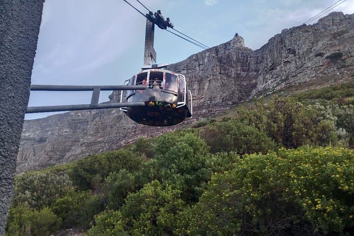 Half-Day Private Tour: Table Mountain Summit & V&A Waterfront from Cape Town photo 4