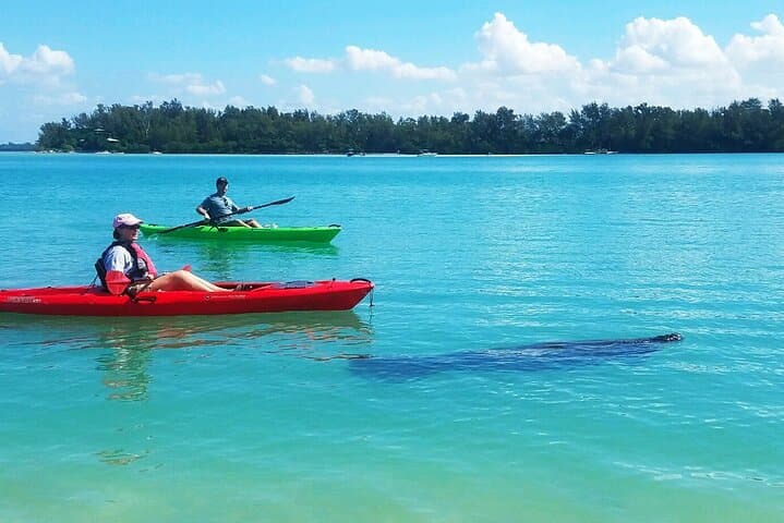 Kayaking Sarasota Bay: Coastal Wildlife Tour from Longboat Key photo 1
