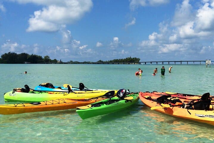 Kayaking Sarasota Bay: Coastal Wildlife Tour from Longboat Key photo 2