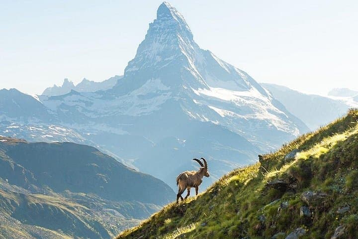 Day Trip to Zermatt: Gornergrat, Riffelsee & Matterhorn Views from Zurich photo 1