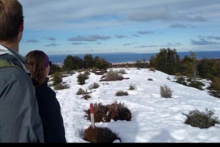 Magallanes Reserve & Punta Arenas City Tour: Walk the Wild Edge of the Strait photo 3