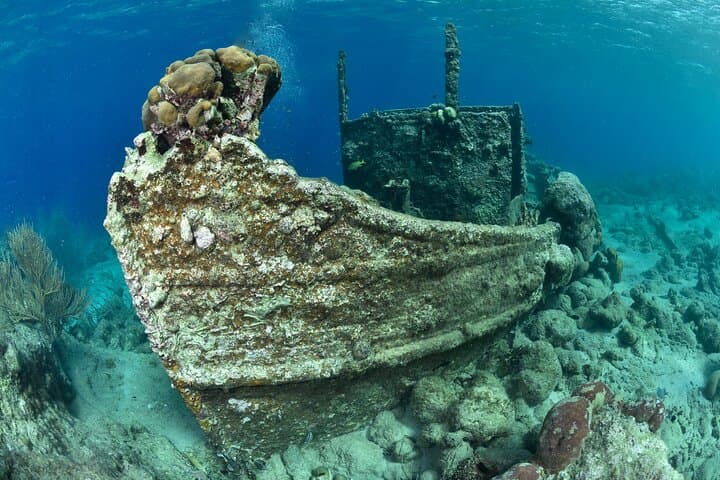 Discover Scuba Dive in Curaçao: Introductory PADI Experience in Shallow Reefs photo 2