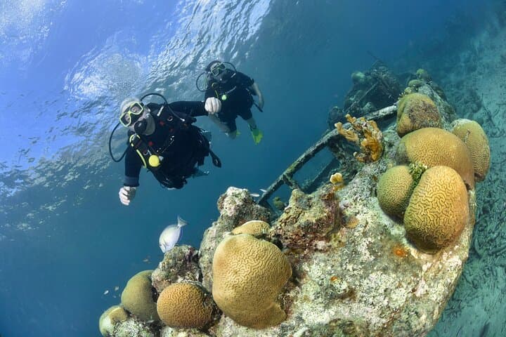 Discover Scuba Dive in Curaçao: Introductory PADI Experience in Shallow Reefs