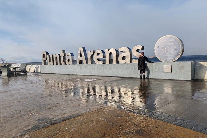 Magallanes Reserve & Punta Arenas City Tour: Walk the Wild Edge of the Strait photo 5