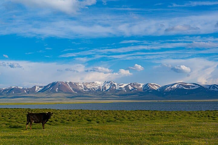 Son Kul Two-Day Nomadic Immersion: Yurts, Horses & Alpine Evenings photo 2