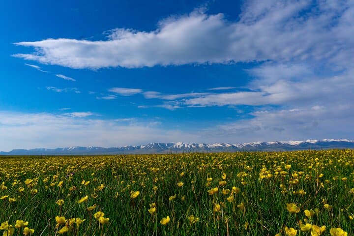 Son Kul Two-Day Nomadic Immersion: Yurts, Horses & Alpine Evenings photo 3