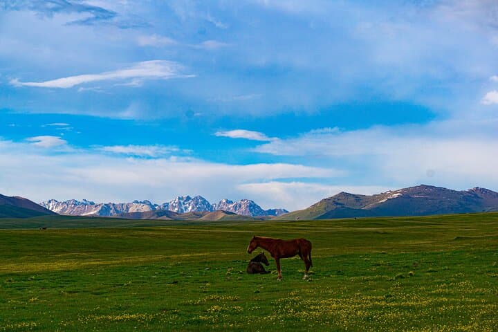 Son Kul Two-Day Nomadic Immersion: Yurts, Horses & Alpine Evenings photo 5