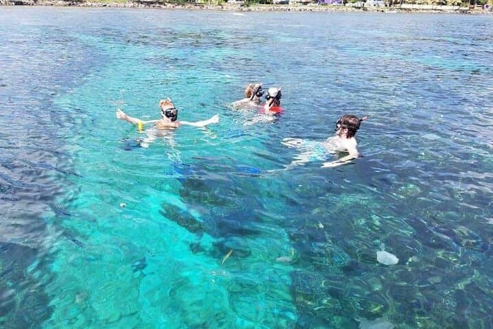Roatán Wildlife Sanctuary, Chocolate & Rum Tasting with West Bay Snorkel photo 2