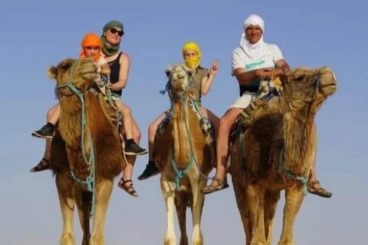 Private Camel Ride in Douz: Hour-Long Dune Trek South of the Sahara photo 2