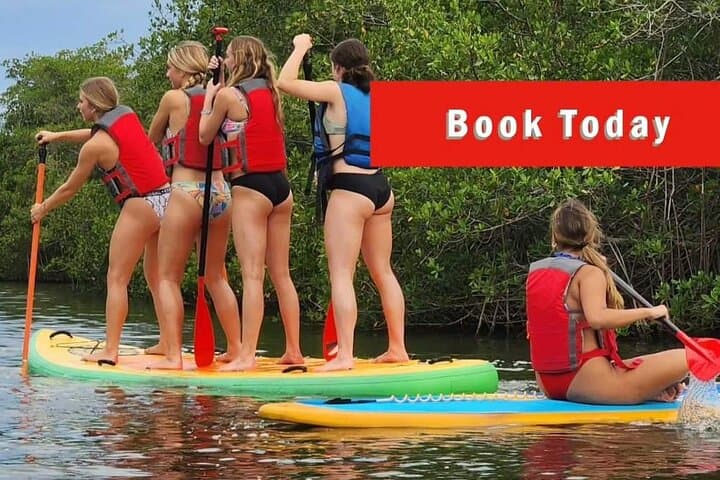 Self-Guided Kayaking Manatee and Dolphin Tour in Cape Canaveral — Paddle with Manatees & Dolphins photo 4