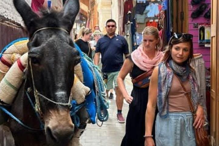 Discover Morocco from Tangier to Fes: Chefchaouen, Meknes & Volubilis in 3 Days photo 3
