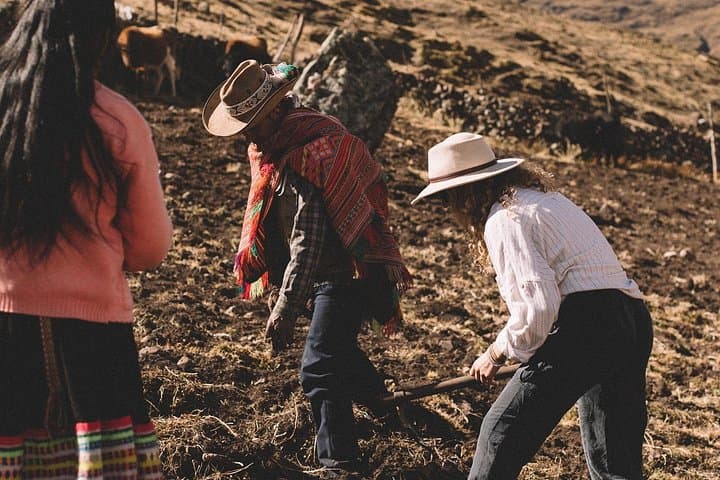 Meet Cusco's Potato King: A Farm Visit to Julio Hancco in Pampa Corral photo 2