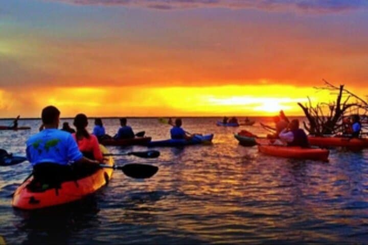 Cocoa Beach Nighttime Bioluminescence Kayak Tour — Paddle the Indian River Lagoon photo 5