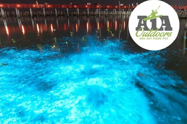 Cocoa Beach Nighttime Bioluminescence Kayak Tour — Paddle the Indian River Lagoon photo 6