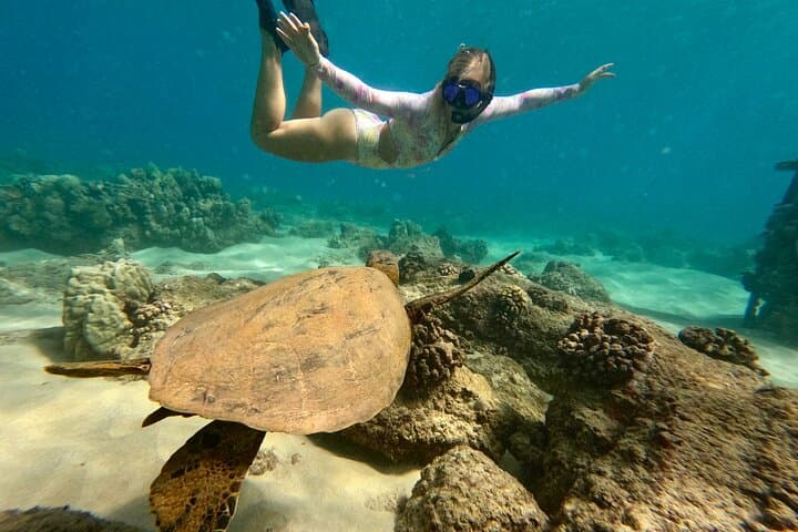 Snorkel with Sea Turtles in San Juan: Guided Tour with GoPro Video photo 2