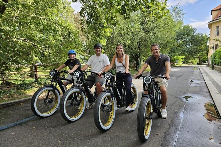 Prague Express E‑Bike Tour: Top Viewpoints & Historic Sights in 90 Minutes photo 3