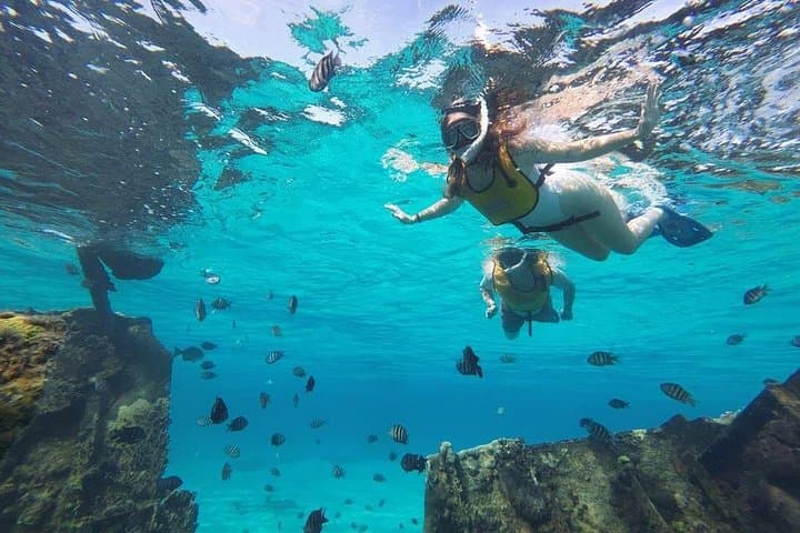 Cancun 5-in-1 Snorkeling Adventure: MUSA Sculptures, Shipwreck & Cenote Dives photo 2