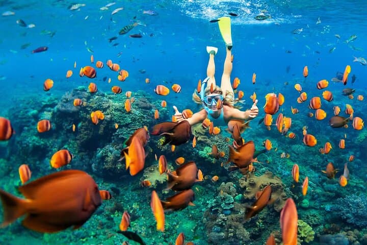 Cancun 5-in-1 Snorkeling Adventure: MUSA Sculptures, Shipwreck & Cenote Dives photo 4
